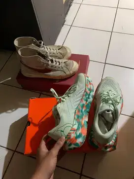 ORTUS & Compass size 41
