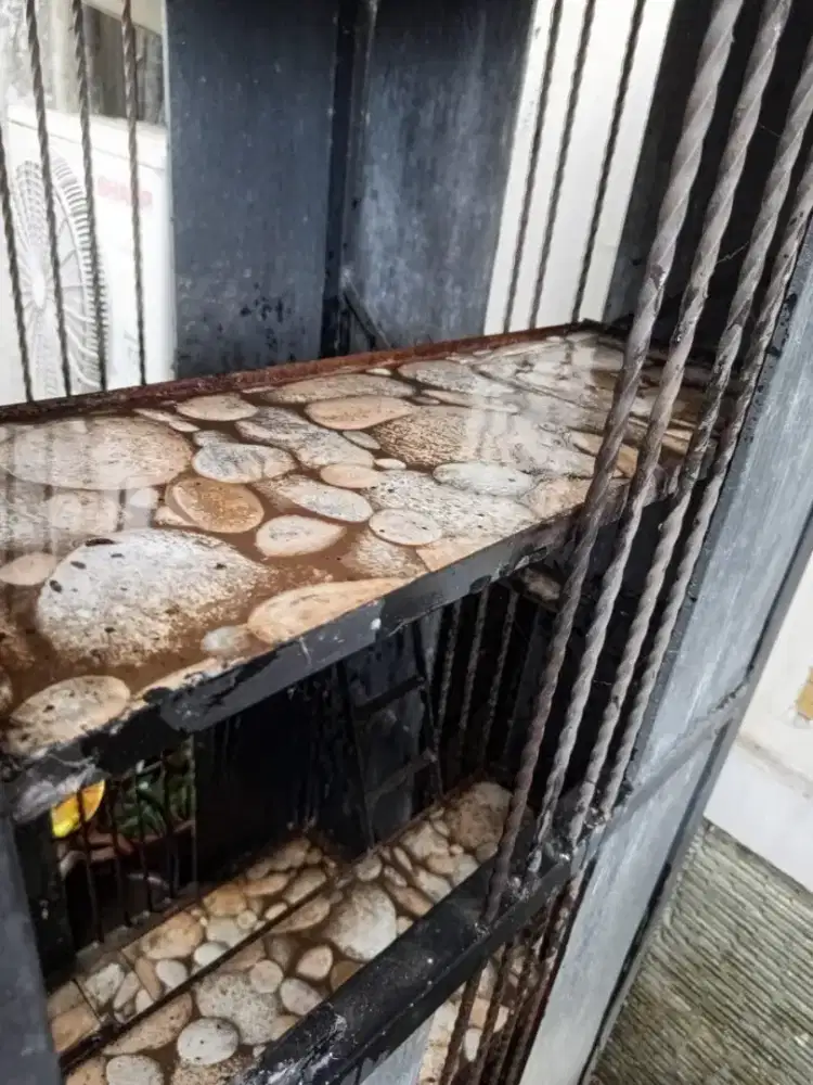 Di jual kandang kucing