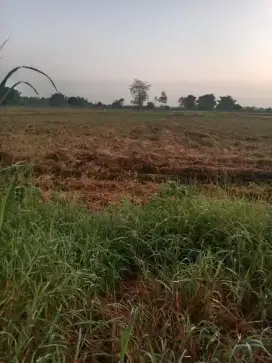 DIJUAL tanah  kavlingan jl raya balongpanggang