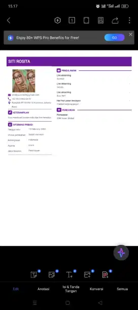 Pengalaman host live, art babysitter, admin gudang, dan berjualan