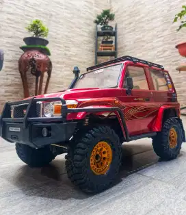RC Adventure RGT Intruder