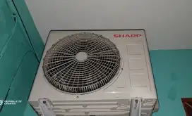 Ac sharp 1/2 pk