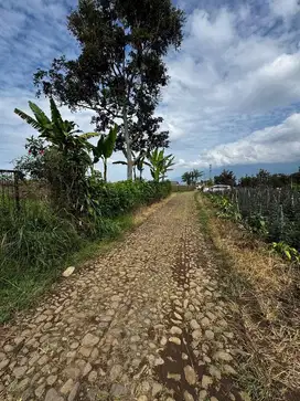 Tanah perkebunan Area Vila kebun Nol jalan.