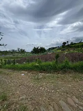 Tanah strategis lokasi Di kawasan Bukit Berbunga kota Batu