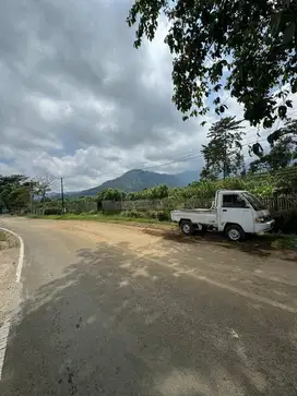 Kebun apel pinggir jalan 2 sisi 1 jutaan aja