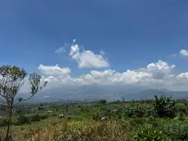 Tanah lokasi atas puncak Bukit