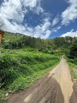 Tanah kota Batu Ada Sumber Mata Airnya.