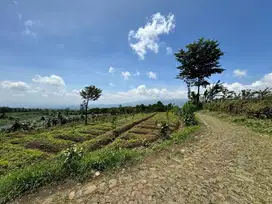 Tanah kebun murah lokasi di bulukerto bumiaji