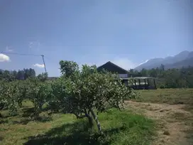 Tanah kota batu harga super Murah