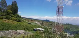 Kebun Apel Murah Lokasi di tenggah kampung