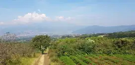 Tanah kebun Harga Murah View Istimewa...