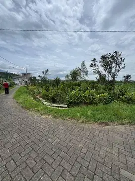Tanah pekarangan Harga murah.