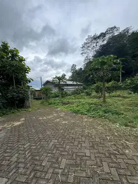 Tanah Pekarangan Kota Batu
