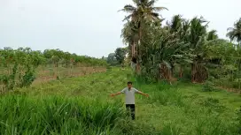 Jual tanah mangku jln Daendls purworejo