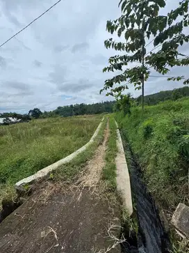 Tanah pekarangan ada sumber airnya