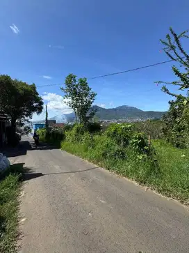 Tanah tratrgis Harga murah Lokasi nol jalan aspal