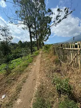 Tanah pekarangan Harga Murah di Bawah pasar