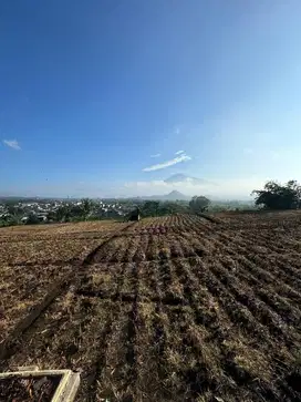 Lahan Kuning Lokasi di Perbatasan Dau dan Kota Batu