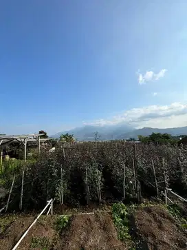 Tanay villa view kota batu dan gunung