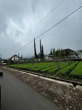 Tanah Tengah Kota Harga Murah Di bawah pasar .