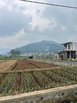 Tanah metro batu super strategis