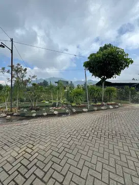 Tanah kota Batu Area Bukit Berbungga .