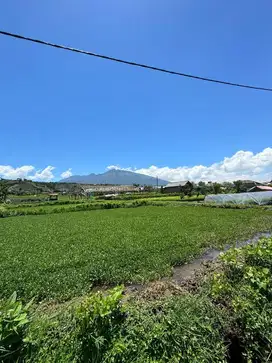 Tanah Batu View Super ada Sumber Airnya