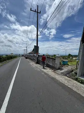 Tanah malang bromo pinggir jalan strategis