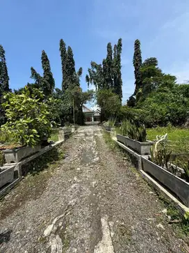 Tanah murah area Pasuruan