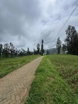 Tanah Samping Hotel Tengger Semeru .