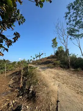 Tanah Super Murah malang 20 ribuan