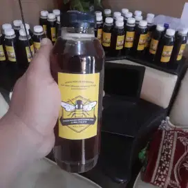 Madu asli nektar bunga rambutan