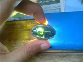 Bacan Hijau Antik