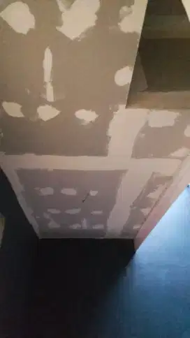 plafon gypsum dan pvc