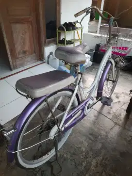 Sepeda Mini Phoenix Siap Pakai