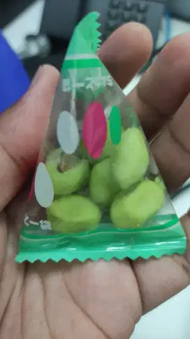 Pengasuh Anak Anak