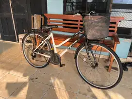 Sepeda keranjang City Bike Polygon Sierra Putih UK 26 Normal