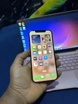 Iphone 12 Pro max 256GB pacific Blue