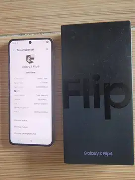 Samsung Flip 4 SEIN