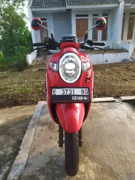 Scoopy 2019 Motor rawatan ,jarang di pakai pemakaian apik.