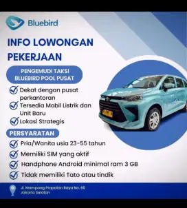 Lowongan Kerja Driver 
PT. Blubird Group Tbk.