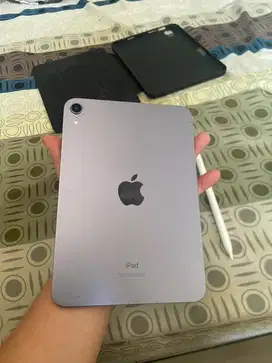 Ipad Mini (Gen 6) 256