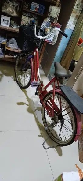 Sepeda normal ada keranjang dan standar nya