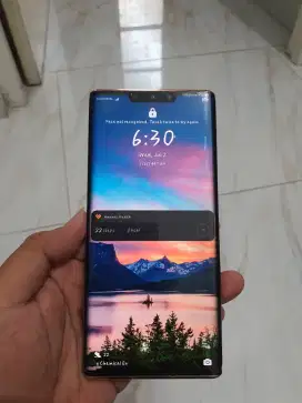 Huawei mate 30 pro 5G 8/256 GB becuk