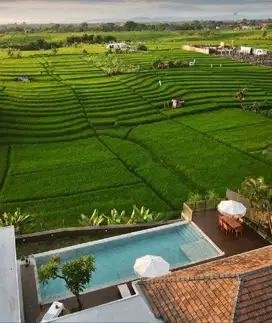 3 Bedrooms villa nia oxl freehold for sale in canggu babakan