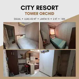 Apartemen City Resort 2BR Dekat Mall Palem