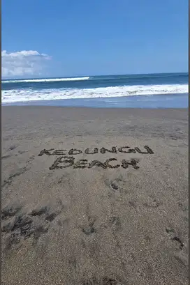 Tanah View sawah Jl Pantai Kedungu