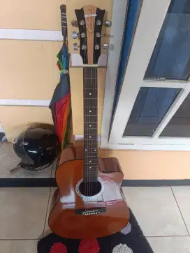 GITAR COLECLARK