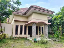 Rumah tanah besar Kraksaan kota