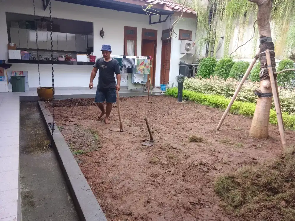 Jasa pembuatan taman rumah - taman minimalis